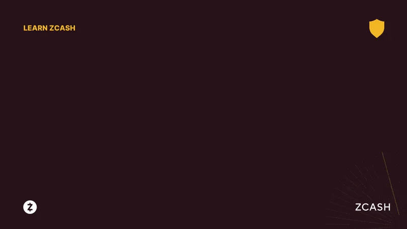 Zcash's Price Surge: What's Driving the Rally and Why Are People Talking?